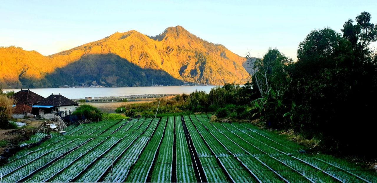 Volcano Lake View Kintamani Zewnętrze zdjęcie